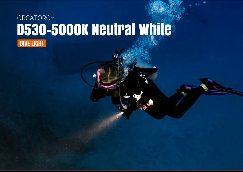 D530-5000k-Neutral-White_01.jpg