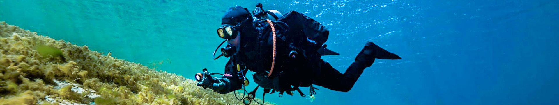 Recreational Diving