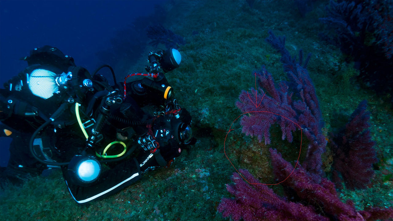 best underwater flashlight