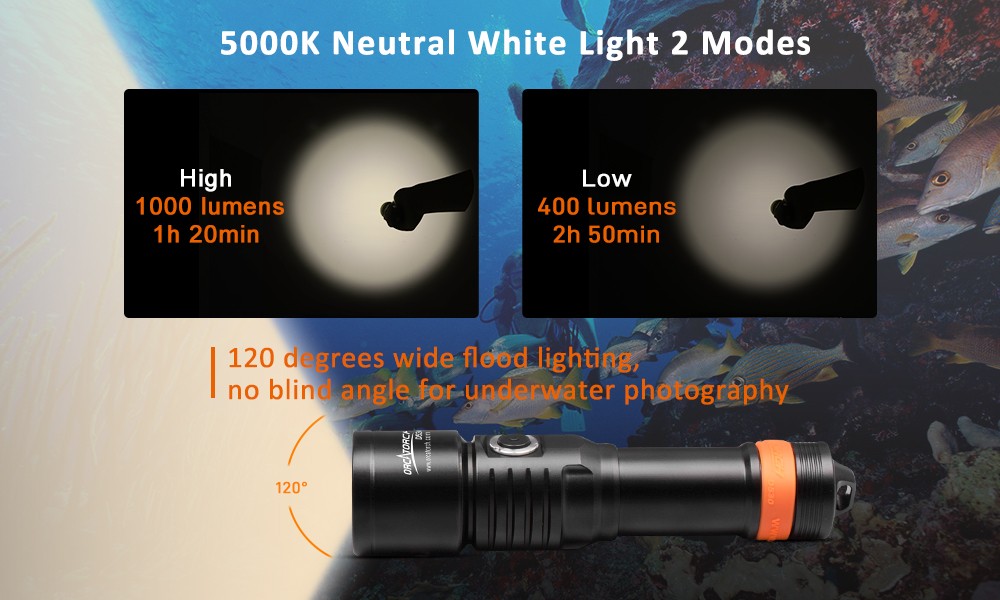 D530V Netural white video light