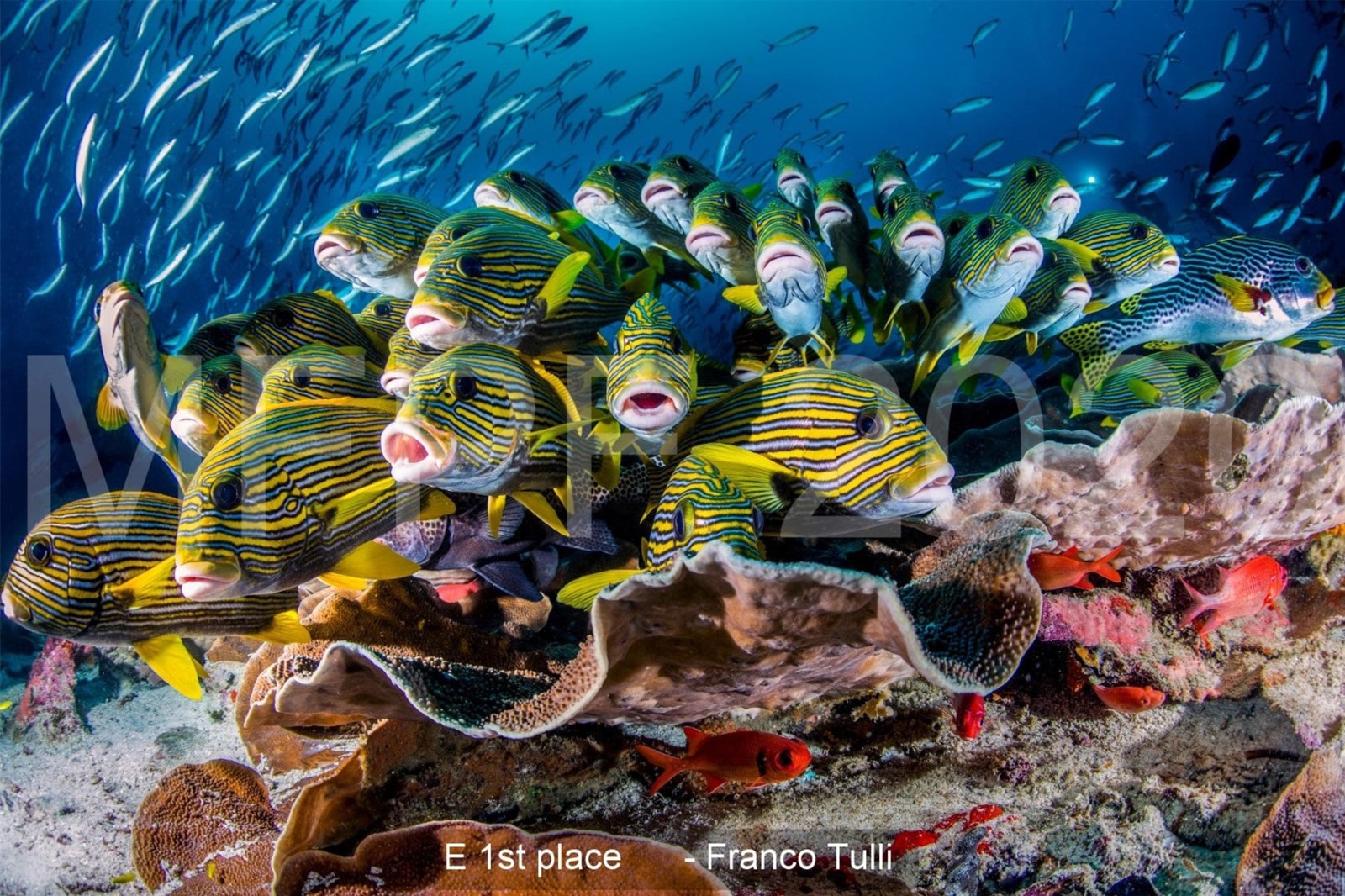 1726127301566188.jpg 7 - MFPF.jpg