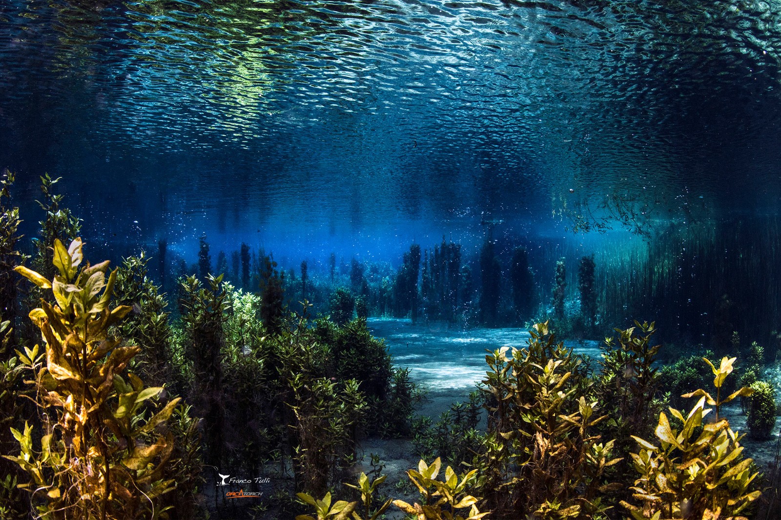 1726127347473775.jpg 9 - S.Giorgio a Liri.jpg