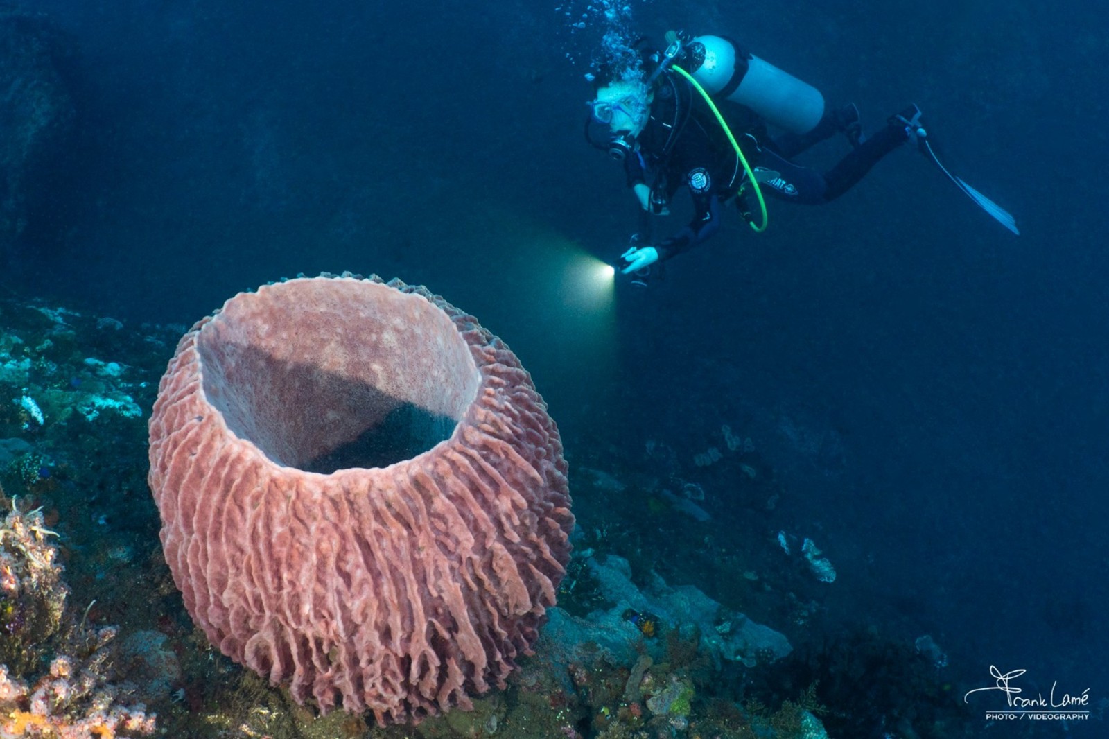 OrcaTorch ambassadro Frank Lame (5).jpg