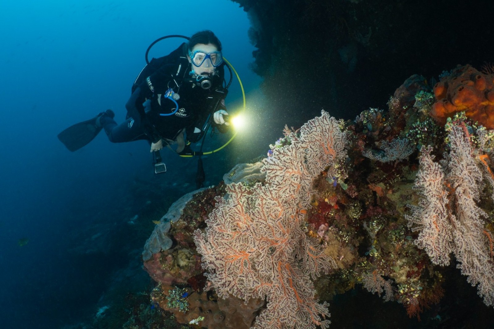 OrcaTorch ambassadro Frank Lame (6).jpg