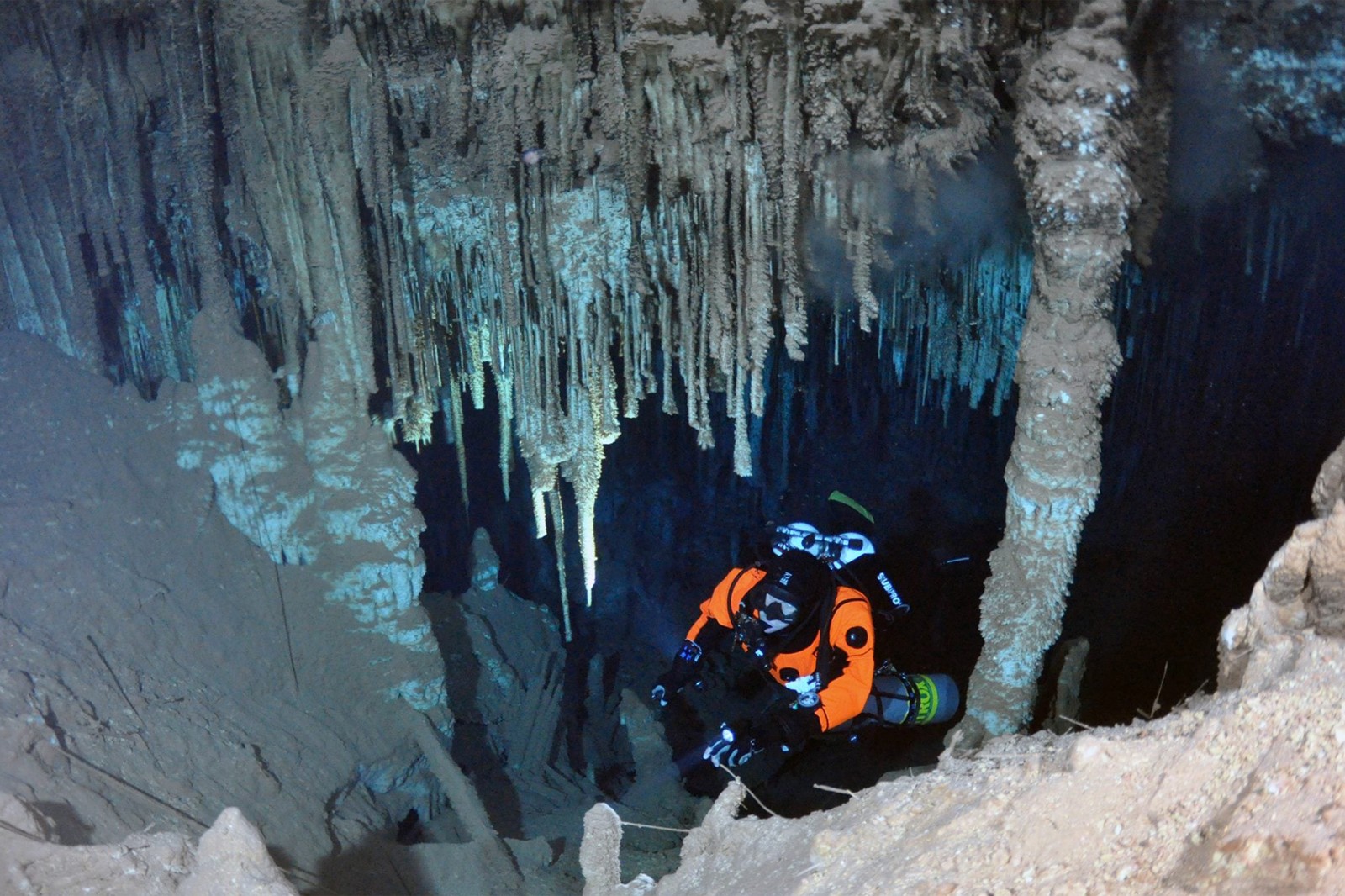 OrcaTorch ambassador (1).jpg