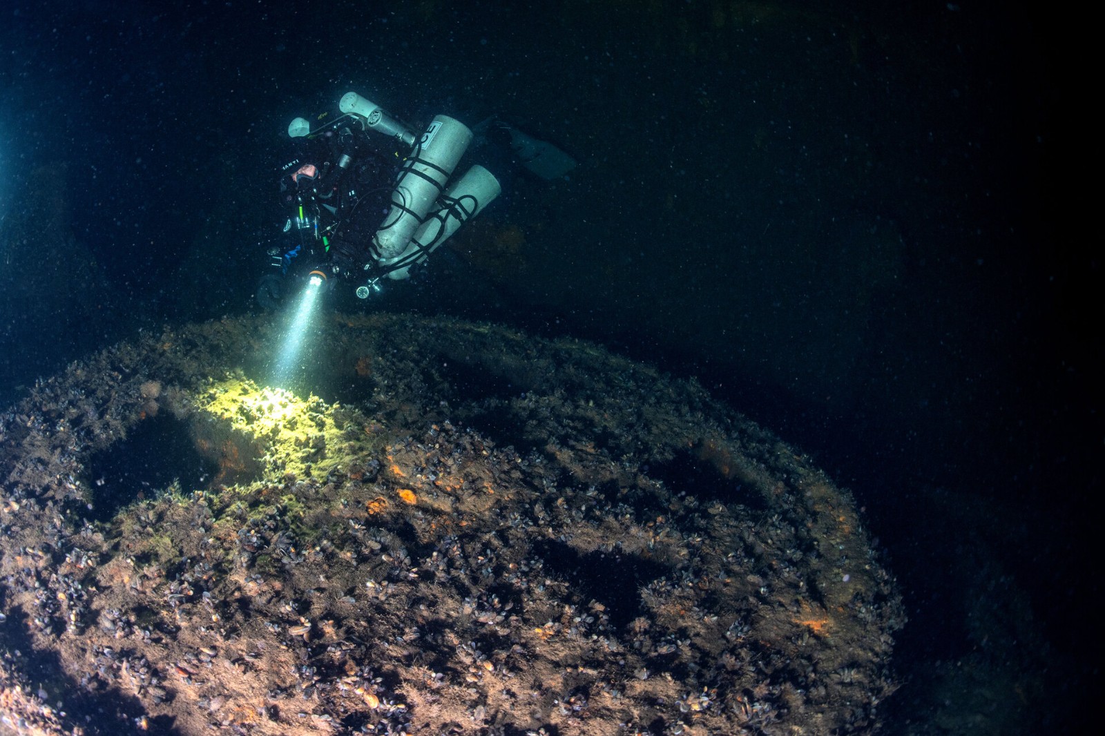 MPZ_2606-Modifica (1).jpg