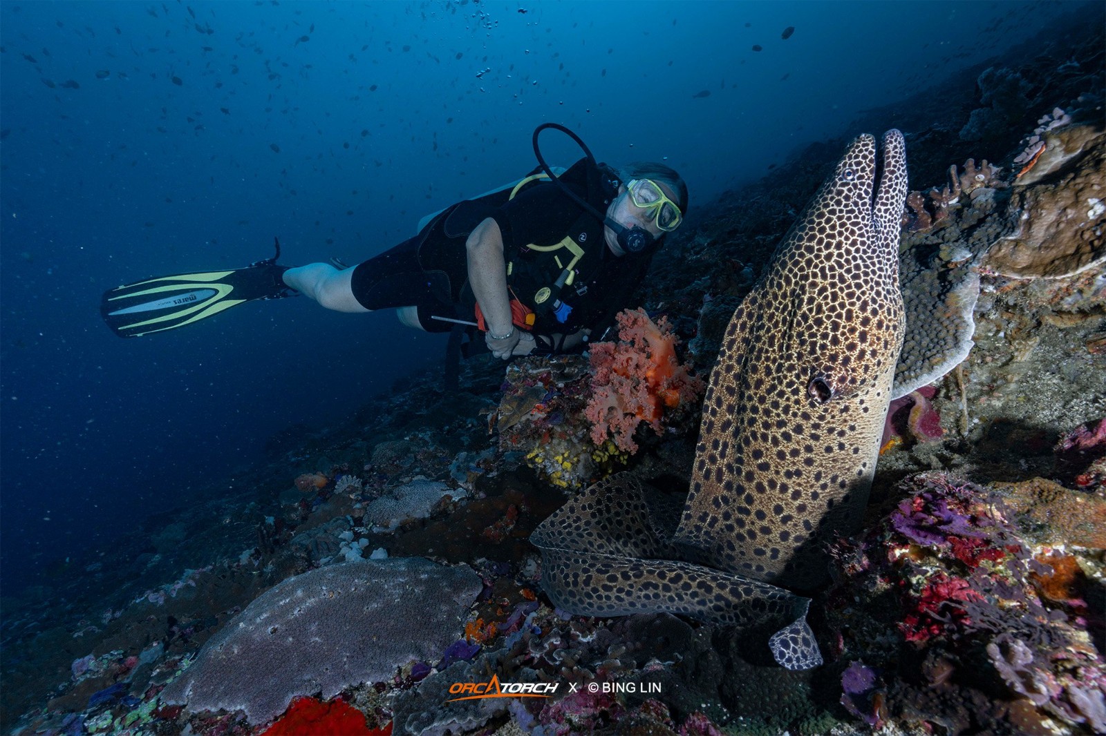 1755572644134437.jpg 1 (3).jpg