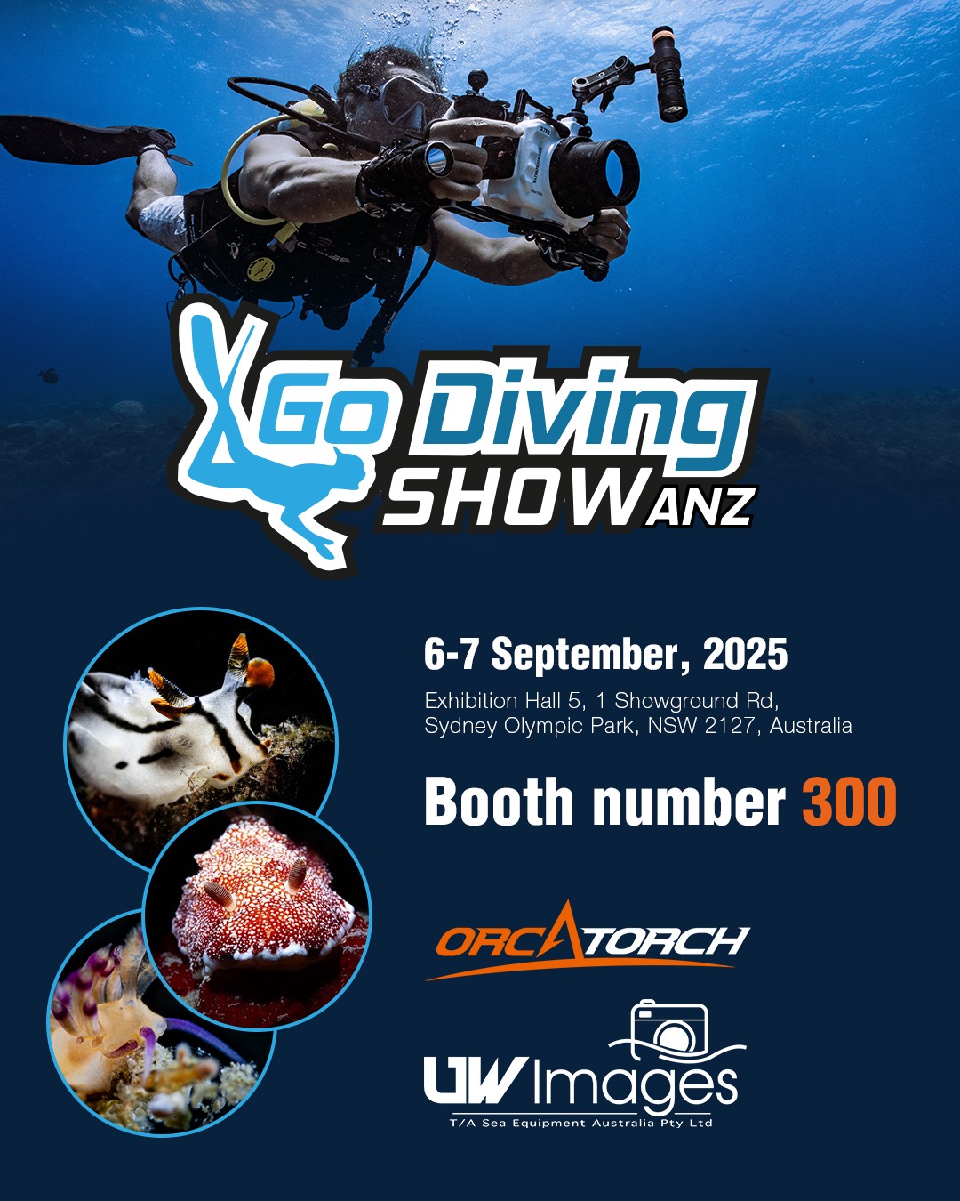 Go Diving Show-1(1).jpg