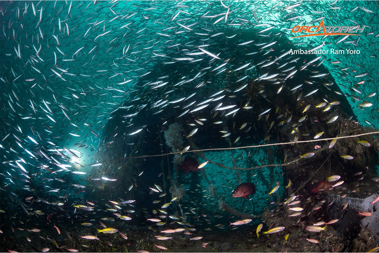 1761300385109046.jpg OrcaTorch ambassador Ram Yoro (7).jpg