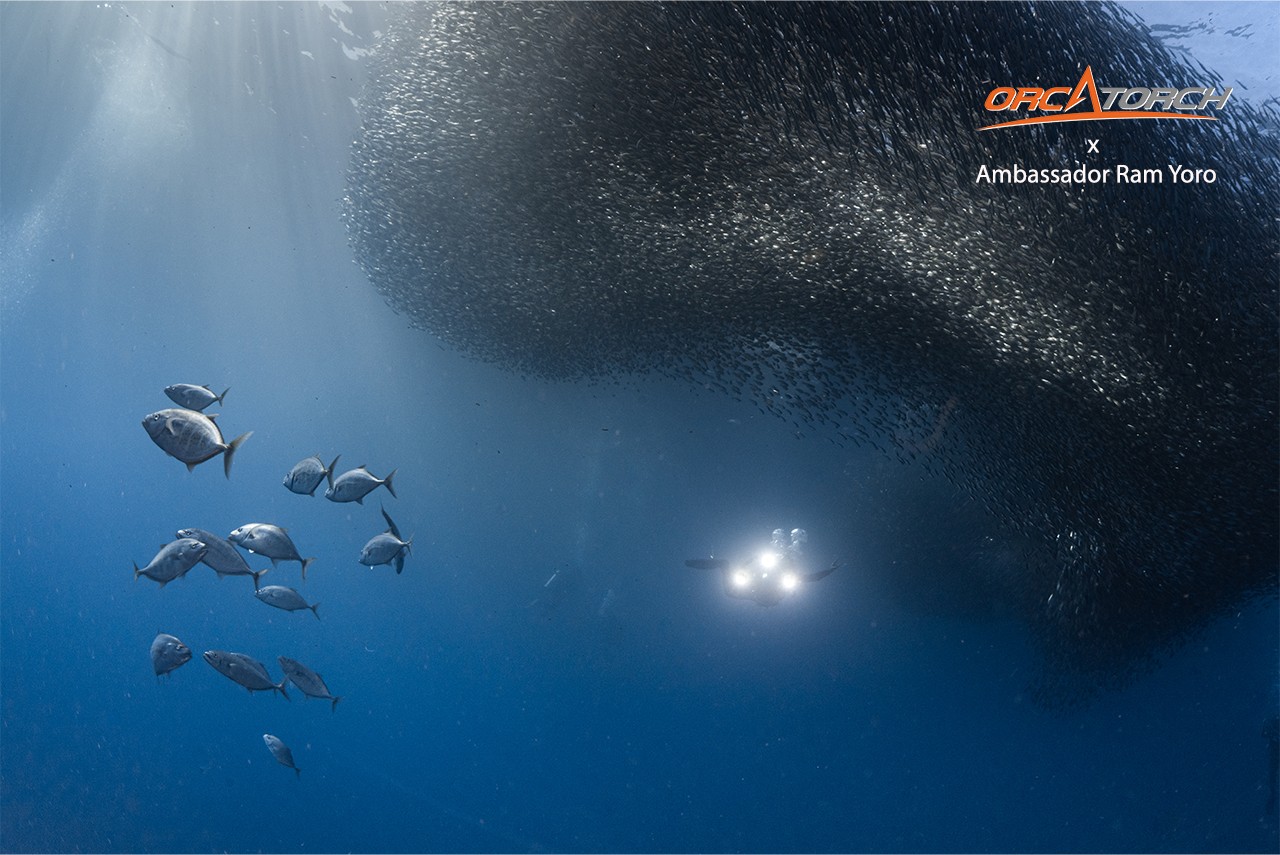 1761300449716517.jpg OrcaTorch ambassador Ram Yoro (9).jpg