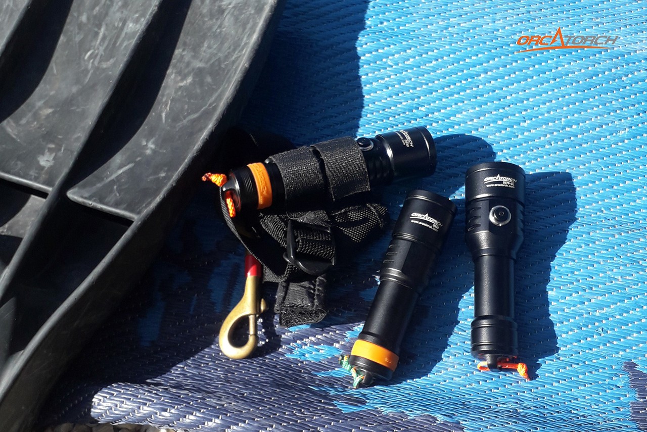 Me and OrcaTorch -2.jpg