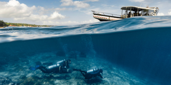 How to dive responsibly for Marine Conservation.