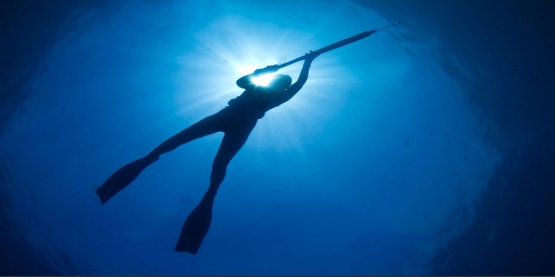 How Can You be Safe While Spearfishing?