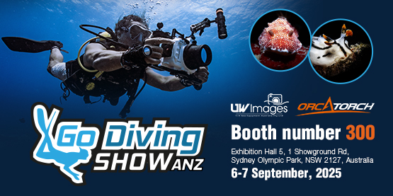 OrcaTorch Invites You to Go Diving Show Sydney 2025