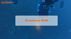OrcaTorch D550 Scuba Diving Light 1000 Lumens