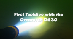 Orchatorch D630 Canister Dive Light Test Dive