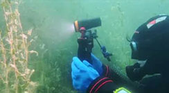 OrcaTorch D910V Underwater Video Light / Gopro